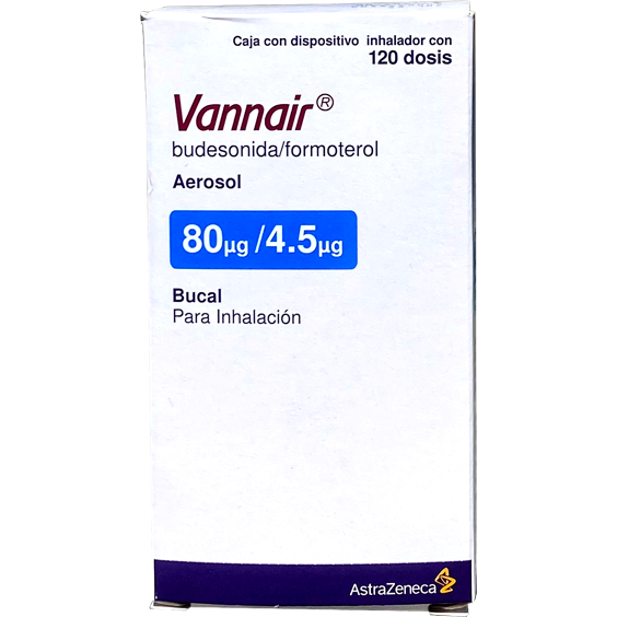 VANNAIR 80 4 5MCG AER 120 DOSIS