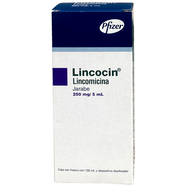 LINCOCIN 5 G JBE 100 ML