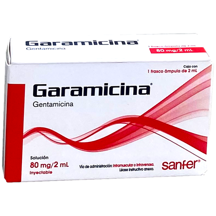 GARAMICINA INY ADULTO 80MG FA