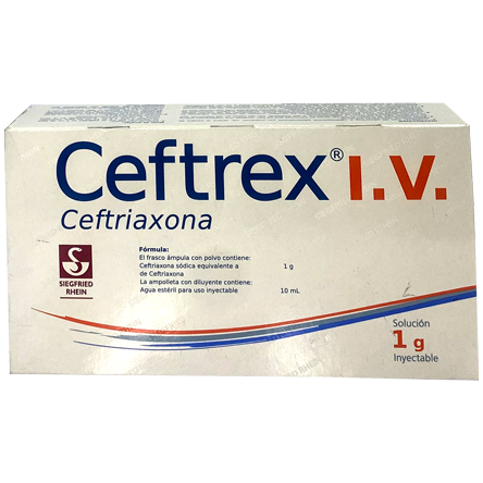CEFTREX IV 1G FA 10 ML