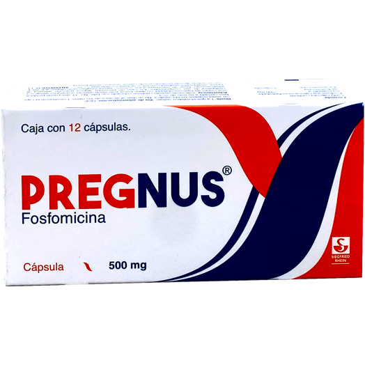 PREGNUS 500 MG CAPS 12