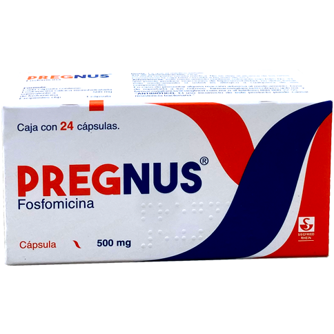 PREGNUS 500MG 24 CAPS