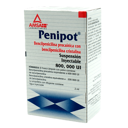 PENIPOT AMP  800 U Bencilpenicilina Cristalina Bencilpenicilina Procainica