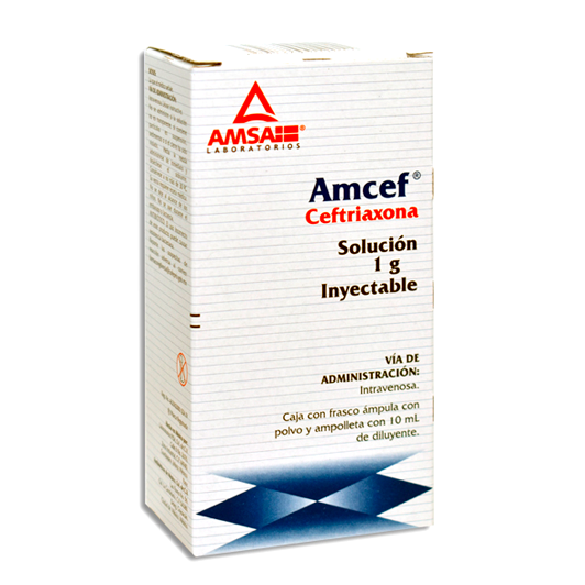 AMCEF    FA 10ML 1G IV ANT