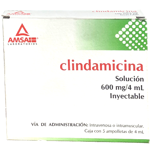 CLINDAMICINA 600 MG A 5  4ML AMSA