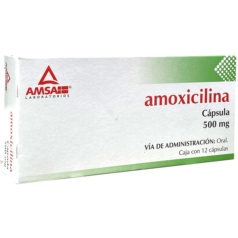 AMOXICILINA 500MG CAPS 12 AMSA