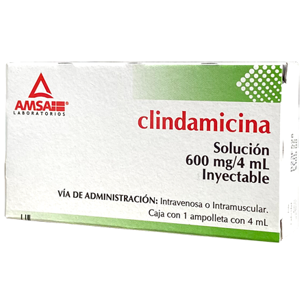 CLINDAMICINA 600MG C 1 AMP AMSA