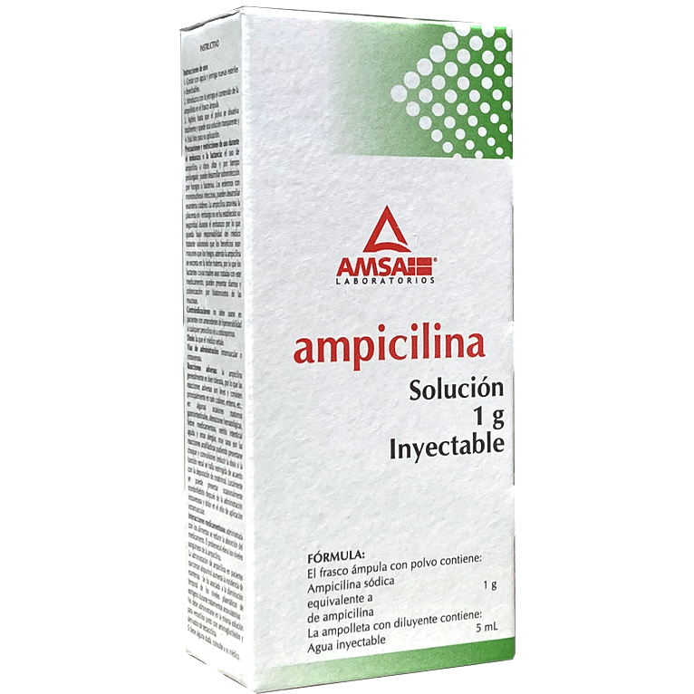 AMPICILINA Sol Iny 1G IM AMSA
