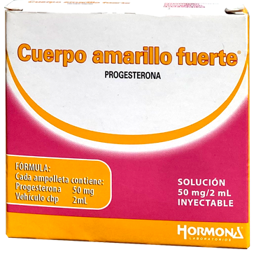 CUERPO AMARILLO FTE AMP 6X2 ML