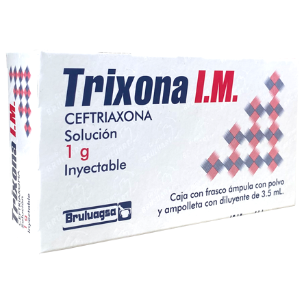TRIXONA AMP I M  C 1 1G Ceftriaxona Lidocaina