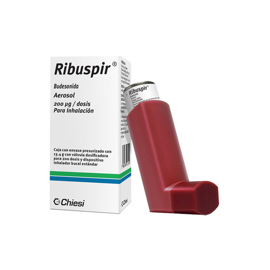 RIBUSPIR 200MCG AER 13 4G